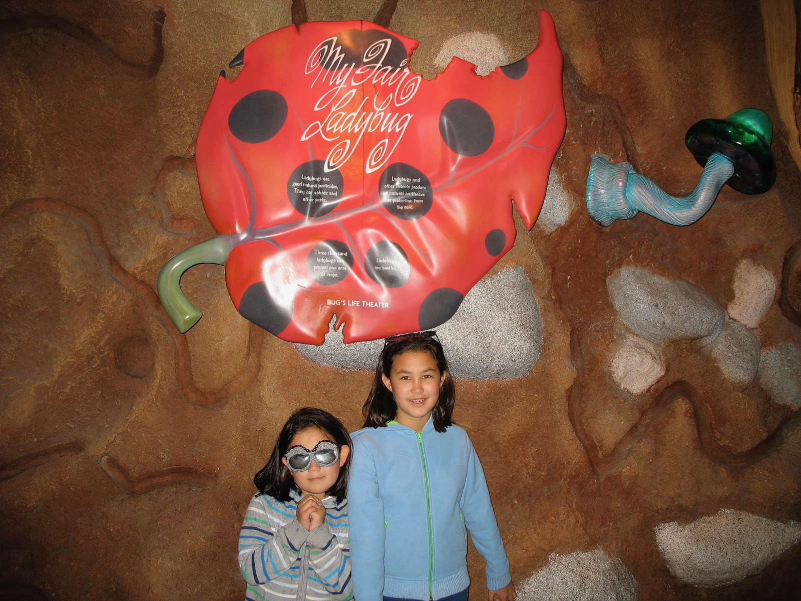 IMG_1052 (1).jpeg